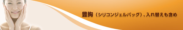 豊胸(シリコンジェルバッグ)、入れ替えも含め